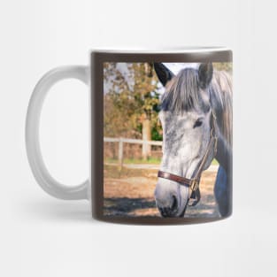 Equine Greeting Mug